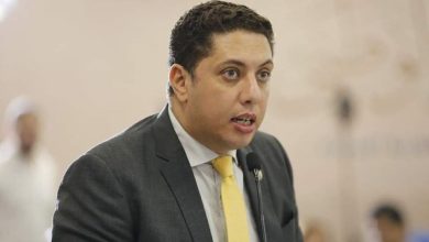 محمود محمد كمال الفرارجي