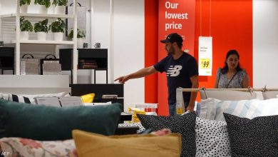 محمود محمد كمال الفرارجي