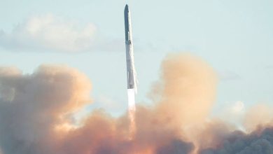 محمود محمد كمال الفرارجي