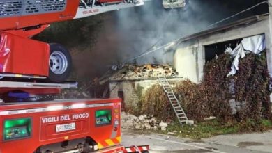 محمود محمد كمال الفرارجي