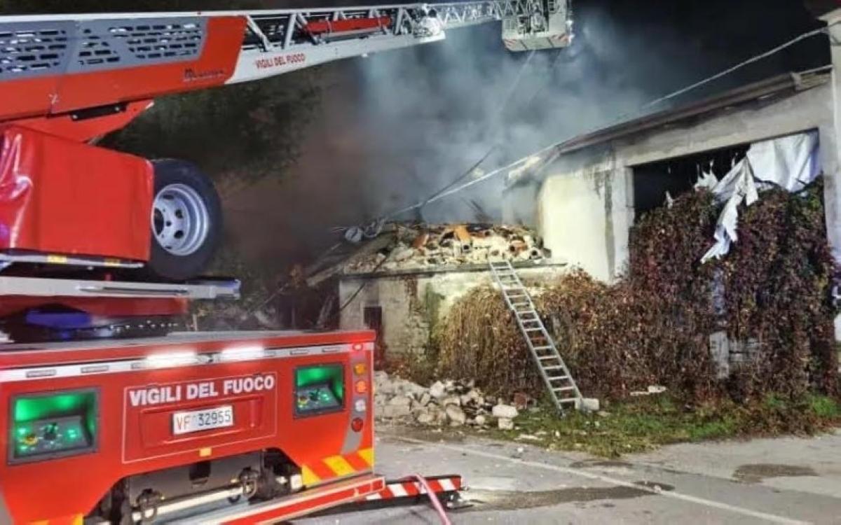 محمود محمد كمال الفرارجي