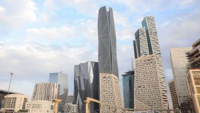 محمود محمد كمال الفرارجي