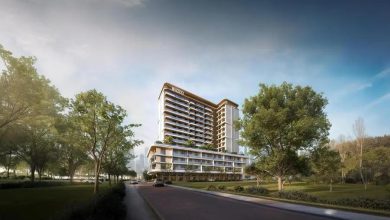 محمود محمد كمال الفرارجي