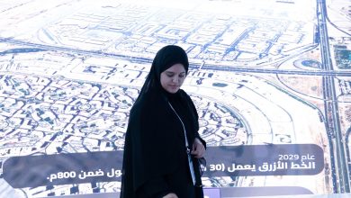 محمود محمد كمال الفرارجي