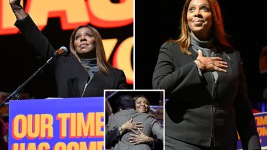 محمود محمد كمال الفرارجي