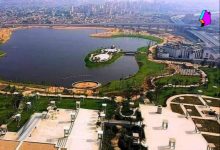 المهندس محمود الفرارجي