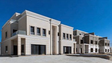 المهندس محمود الفرارجى